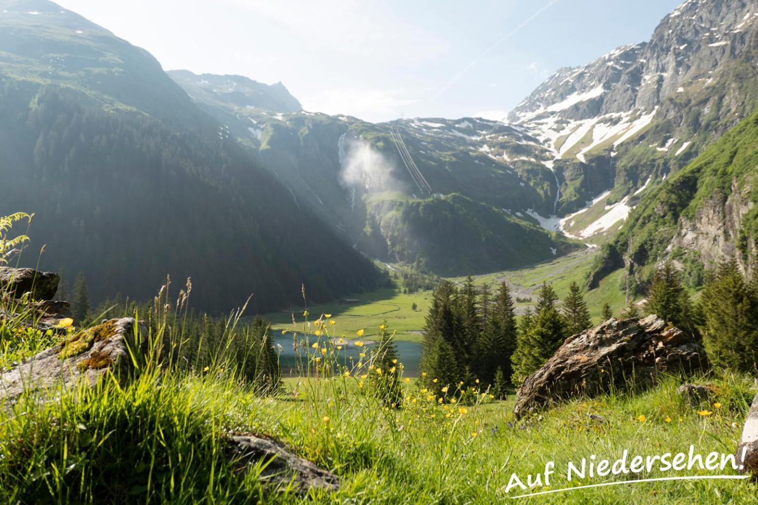 Ferienwohnung Auf Niedersehen - 8 Personen - Kitzbuehler Alpen - Hoehe Tauern Np ホラースバッハ・イム・ピンツガウ エクステリア 写真